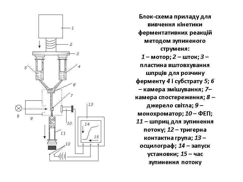 Блок-схема приладу для вивчення кінетики ферментативних реакцій методом зупиненого струменя: 1 – мотор; 2